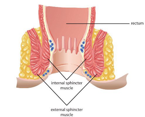رابطه مقعدی؛ خطرات و مضرات، عوارض و حکم شرعی