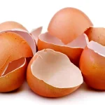 خواص کاربرد های شگفت انگیر پوست تخم‌مرغ که نمی دانید!