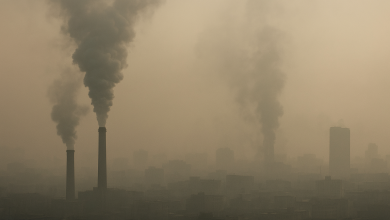 ۱۰ روش مؤثر برای کاهش آلودگی هوا در زندگی روزمره