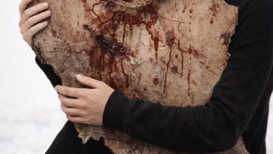 پرامپت ایران همدل