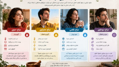 خصوصیات مزاج در طب سنتی؛ ویژگی ۴ مزاج اصلی