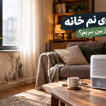 چگونه بوی نم خانه را از بین ببریم؟ ۱۰ راهکار مؤثر