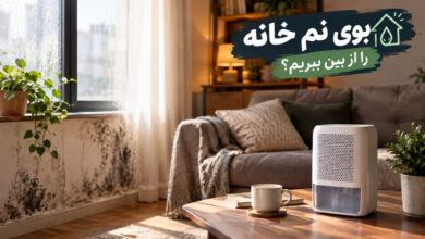چگونه بوی نم خانه را از بین ببریم؟ ۱۰ راهکار مؤثر