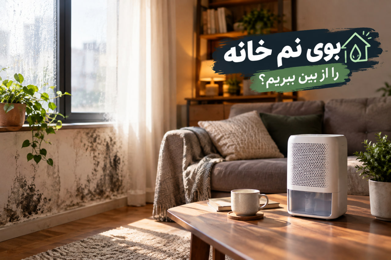 چگونه بوی نم خانه را از بین ببریم؟ ۱۰ راهکار مؤثر
